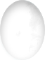 Color White