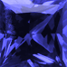 Color Dark Blue