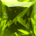 Color Yellowish Green
