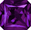 Color Dark Violet